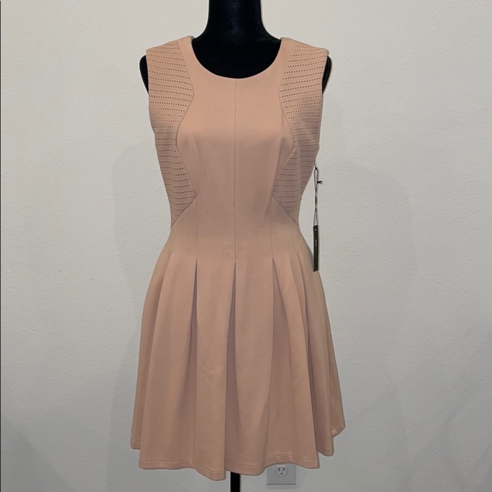 BCBGMaxAzria Blush Sleeveless Dress